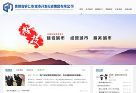 遵义城市开发投资集团有限公司